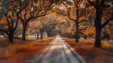 huntsville state park