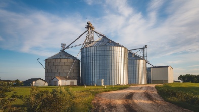 the silos